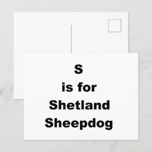 Cartão Postal S É Para Shetland Sheepdog