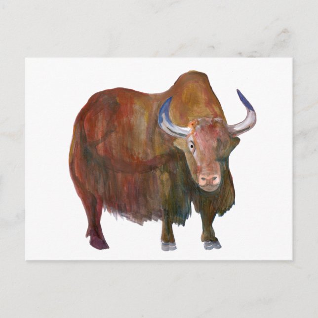 Cartão Postal S. Yak / carte postale (Frente)