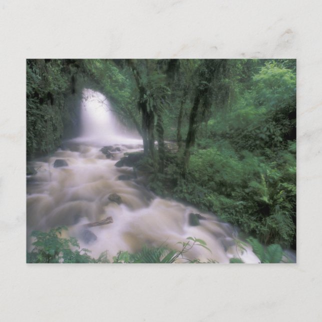 Cartão Postal SA, Peru, S.H. Machu Picchu, Cascade e nuvem (Frente)