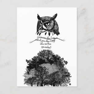 Cartão Postal Sabedoria da coruja empata introvertida ilustrada 