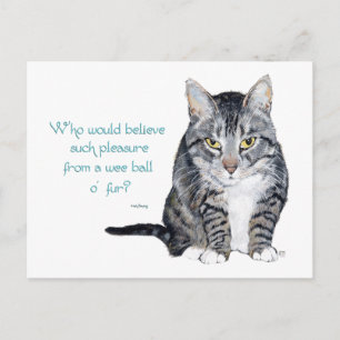 Cartão Postal Sabedoria do Gato - Quem acreditaria?