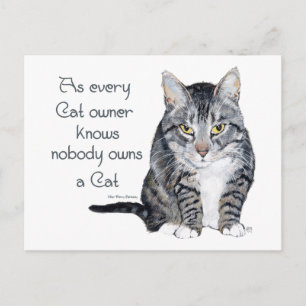 Cartão Postal Sabedoria Felina - como todo dono de gato sabe