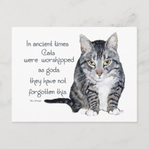 Cartão Postal Sabedoria Felina - nos tempos antigos, os gatos er