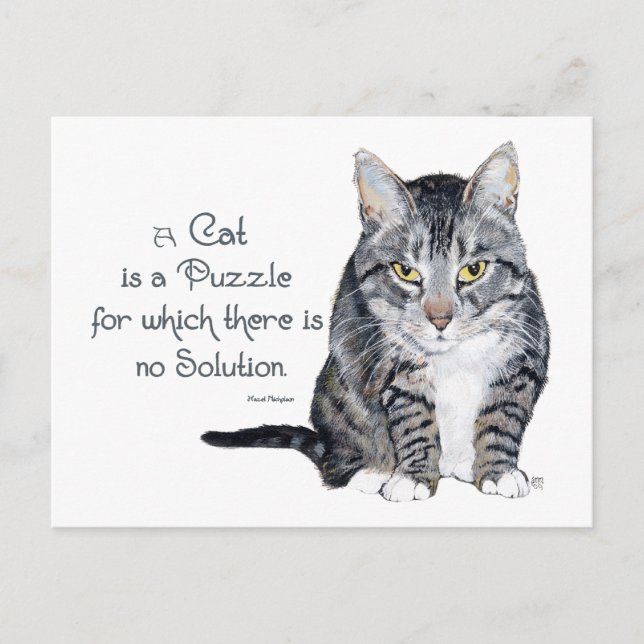 Cartão Postal Sabedoria Felina - um Gato é um Enigma (Frente)