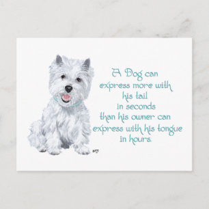 Cartão Postal Sabedoria Westie - Cauda ou Língua Balançando?