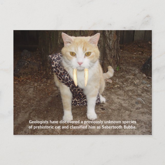 Cartão Postal Sabertooth Bubba (Frente)