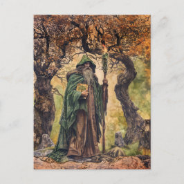 Cartão Postal Sábio Celta Druida Sacerdote Natureza