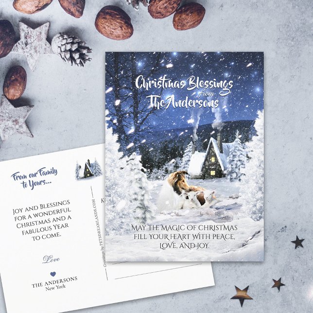 Cartão Postal Sable Rough Collie & Lamb, Magic White Christmas - (Criador carregado)