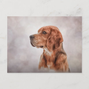 Cartão Postal Saco de Cachorro Desenho