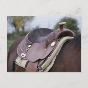 Cartão Postal Saddle em um Cavalo