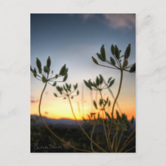 Cartão Postal Saddle Rock Sunset