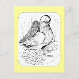 Cartão Postal Saddle Tumbler Malgado 1978