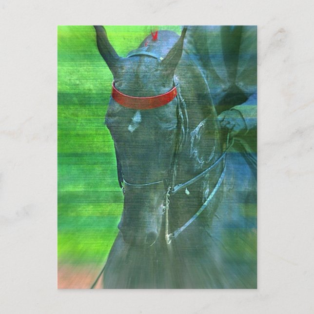 Cartão Postal Saddlecriado Americano (Frente)