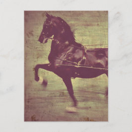 Cartão Postal Saddlepurgusto