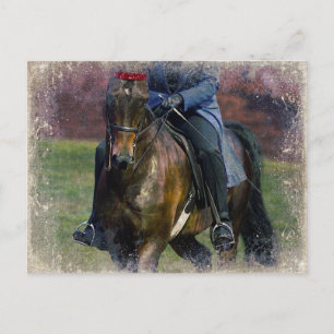 Cartão Postal Saddleseat