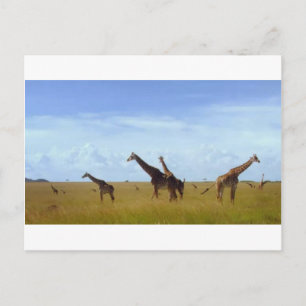 Cartão Postal Safari Girafas Africano