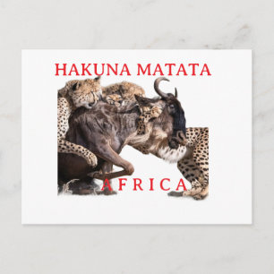 Cartão Postal Safari Hakuna Matata   Animais Selva