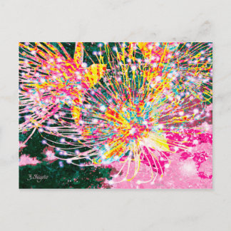 CARTÃO POSTAL SAGARIBANA