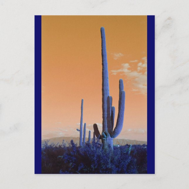 Cartão Postal Saguaro em azul (Frente)