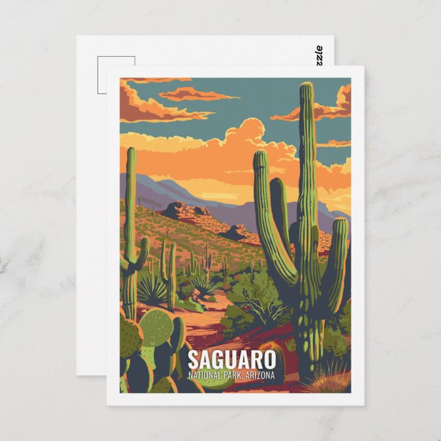 Cartão Postal Saguaro National Park Arizona EUA (Frente/Verso)