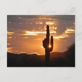 Cartão Postal Saguaro Rays