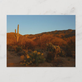 Cartão Postal Saguaro Sunset I Arizona Desert Landscape