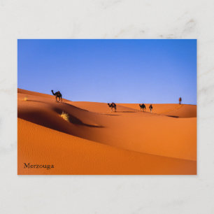Cartão Postal Sahara Merzouga no início da manhã Cartão-postal