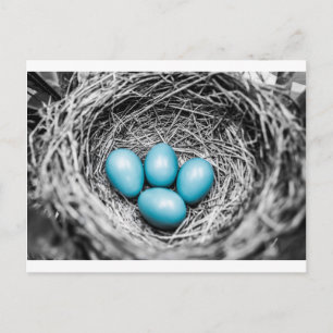 Cartão Postal Saída