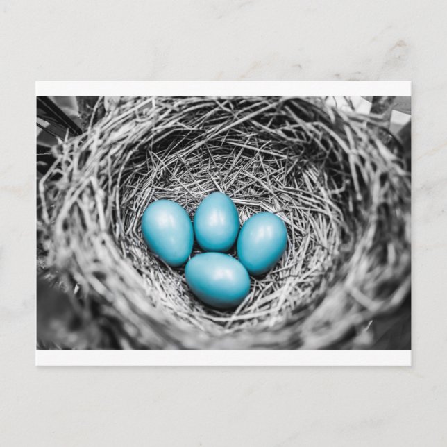 Cartão Postal Saída (Frente)