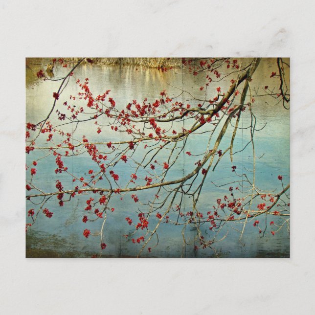 Cartão Postal Saída de Budding (Frente)