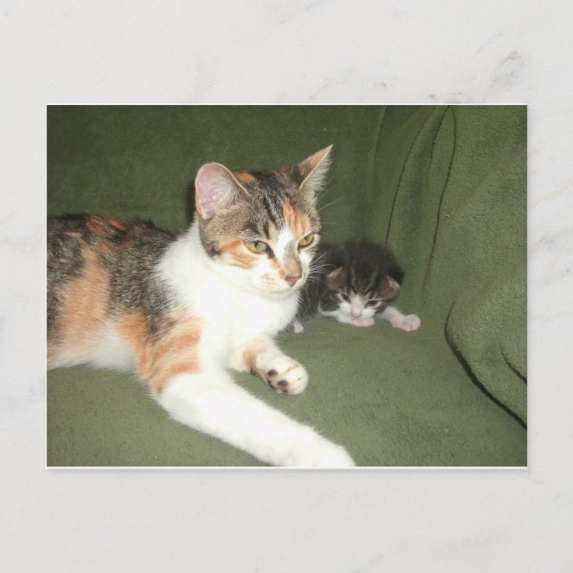 Cartão Postal Sair (Frente)