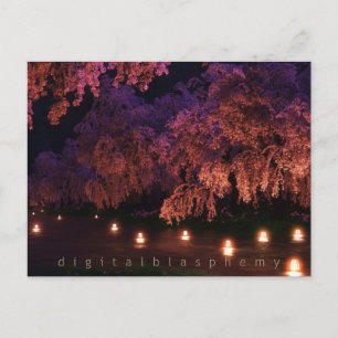 Cartão Postal Sakura (Noite)