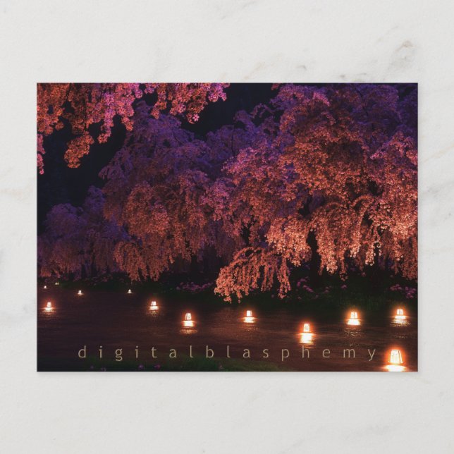 Cartão Postal Sakura (Noite) (Frente)