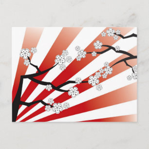 Cartão Postal Sakura Sunrise White Cherry Blossoms Flores Zen