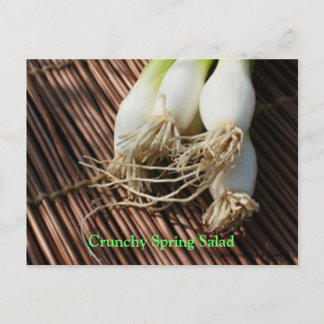 Cartão Postal Salada de Primavera