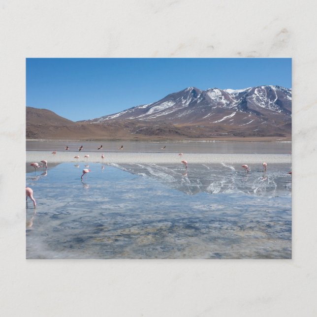 CARTÃO POSTAL SALAR DE UYUNI SALT FLAT, BOLÍVIA (Frente)