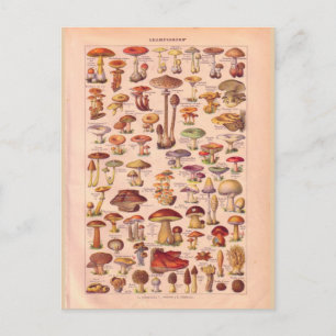 Cartão Postal Salários históricos do Vintage