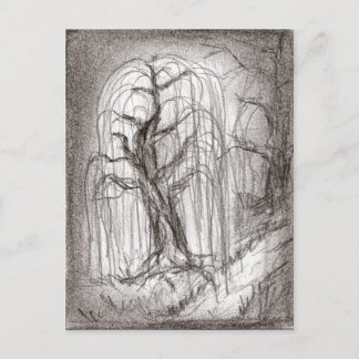 Cartão Postal Salgueiro Weeping