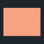 Cartão Postal salmão claro cor<br><div class="desc">salmão claro a cores FFA07A</div>