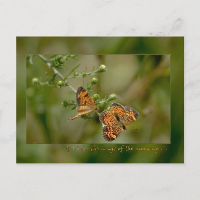 Cartão Postal Salmo 139:9 -10 Se eu levantar nas asas da manhã (Frente)