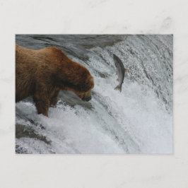 Cartão Postal Salmões de pesca de ursos, Brooks Falls Alasca
