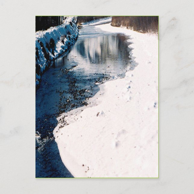 Cartão Postal Salmon Idaho Nival (Frente)