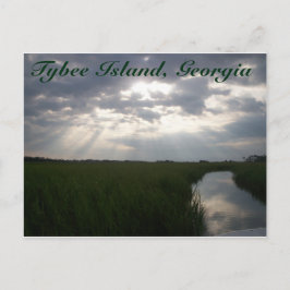 Cartão Postal Salt Marsh | Tybee Island, GA