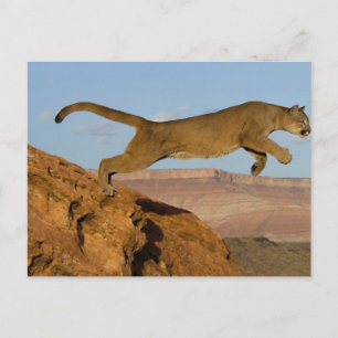 Cartão Postal salto de golpe