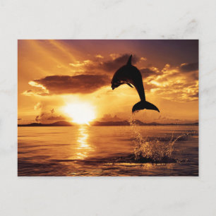 Cartão Postal Salto sunset