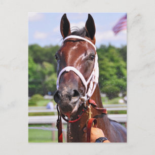 Cartão Postal Saluda, 2 anos de idade, imunda pelo Congresso