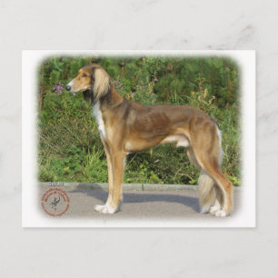Cartão Postal Saluki