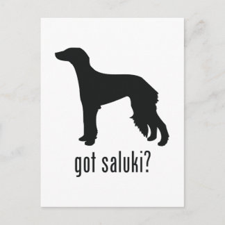 Cartão Postal Saluki