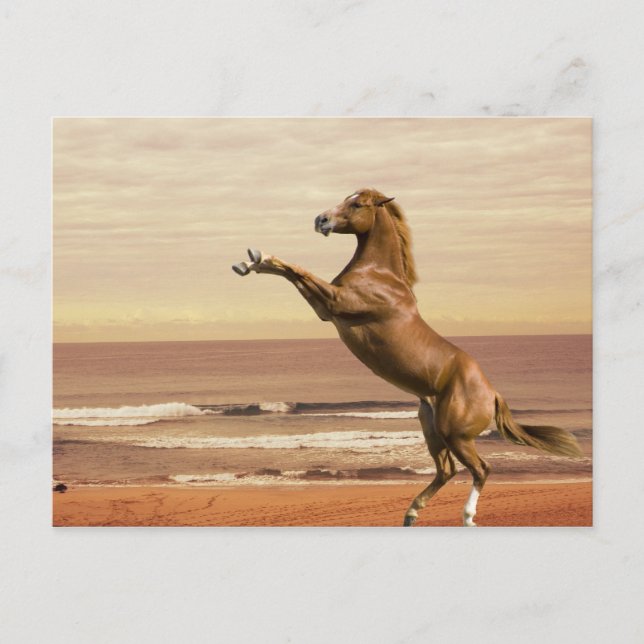 Cartão Postal Salute à Manhã (Frente)