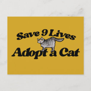 Cartão Postal Salvar 9 Vidas Adotar um Gato